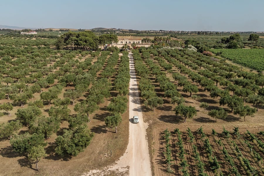 Villa Immacolatella — photo 28