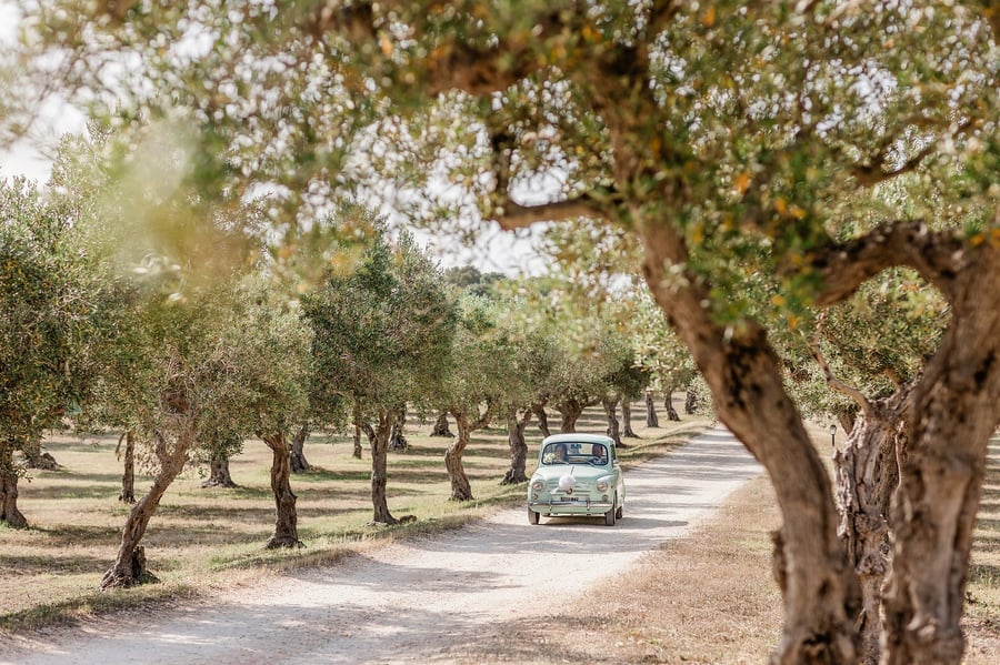 Villa Immacolatella — photo 31