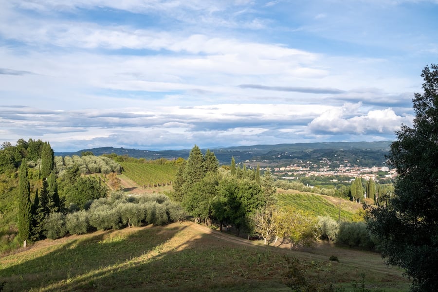 Villa La Collina — photo 15