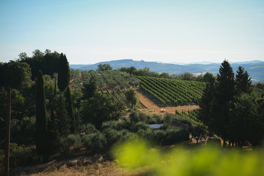 Villa La Collina — photo 27