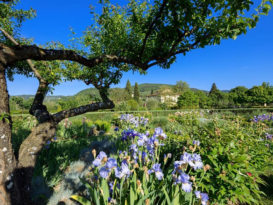 Villa La Massa — photo 10