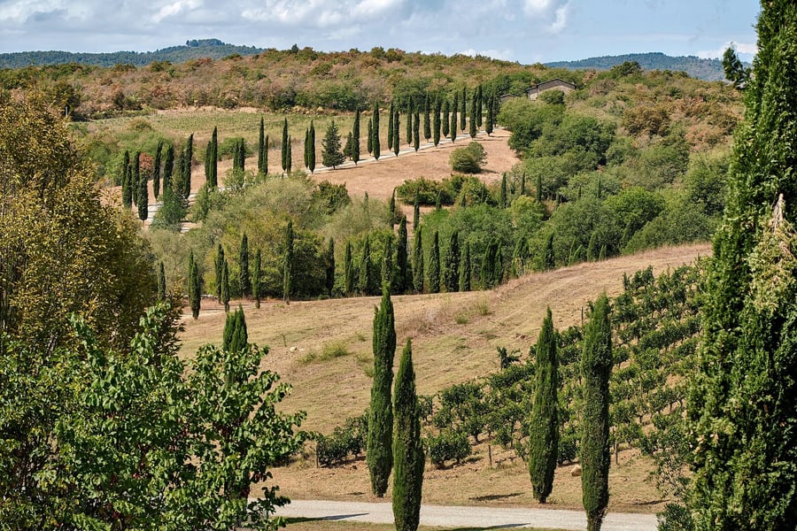 Villa La Selva — photo 21