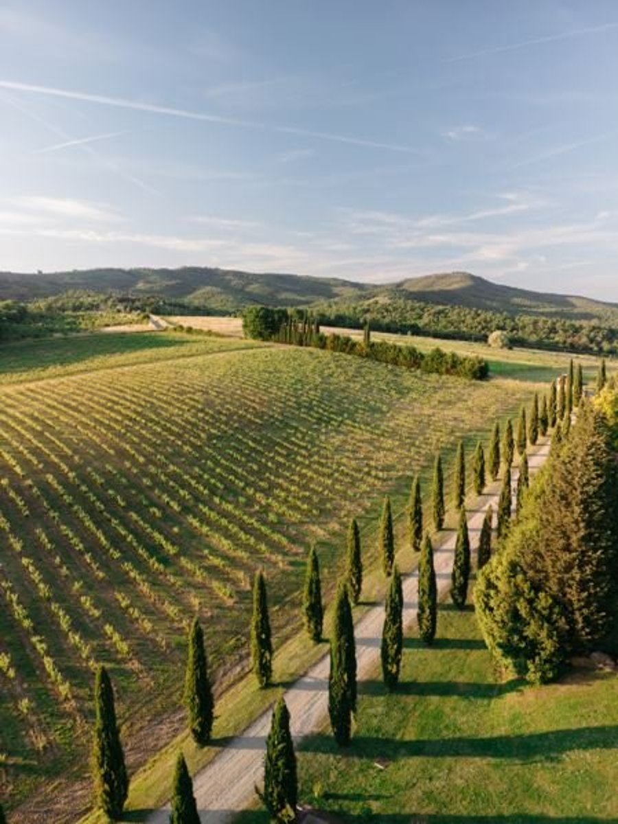 Villa La Selva — photo 32