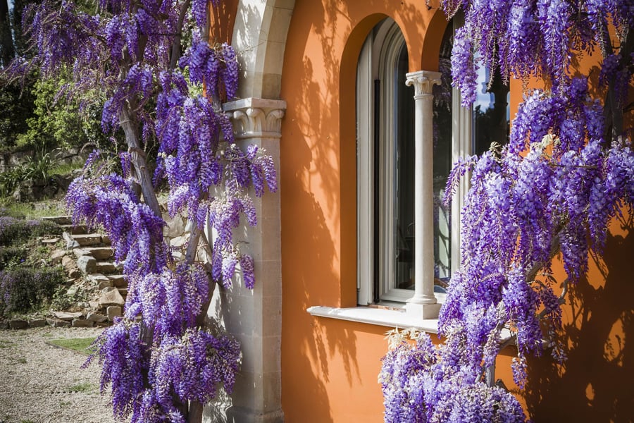 Villa Le Fontanelle — photo 11