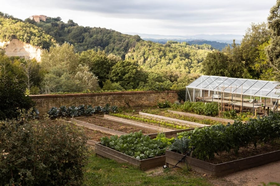 Villa Lena — photo 14