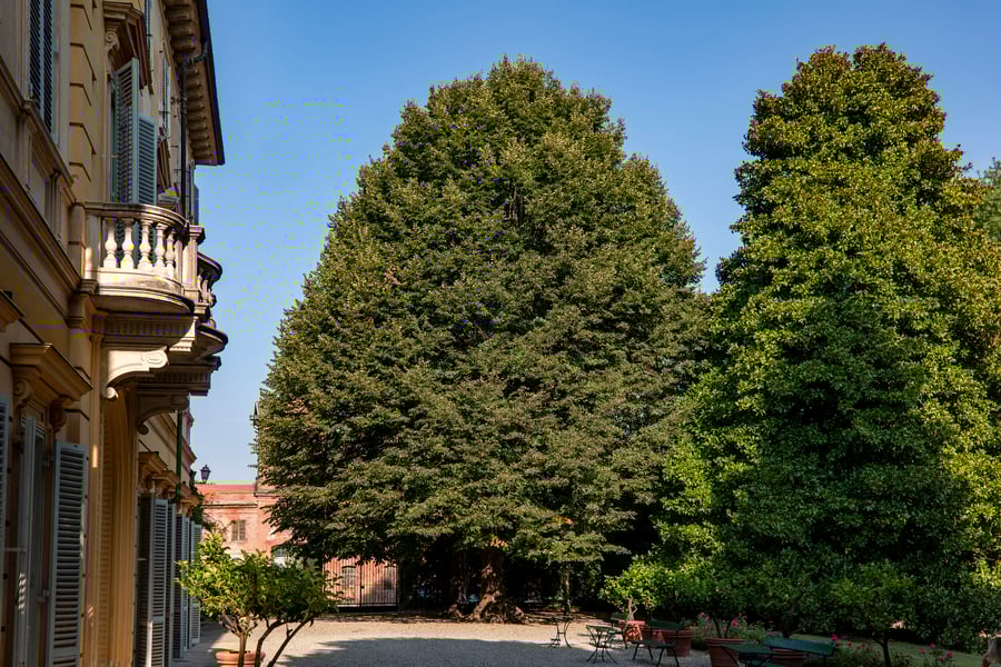 Villa Malfatti — photo 8