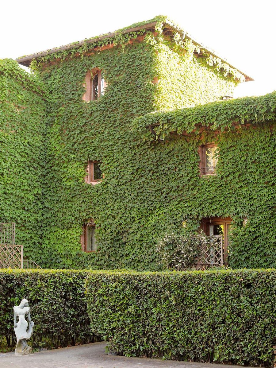 Villa Mangiacane — photo 6