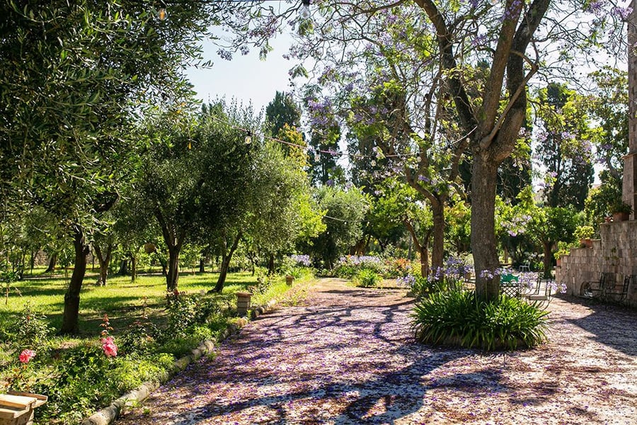 Villa Mediterranea — photo 11