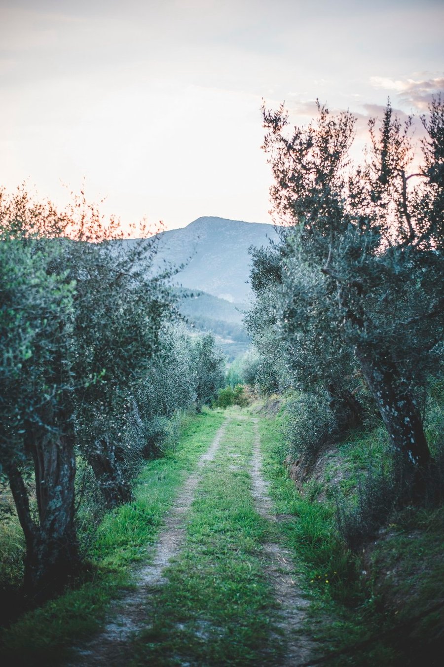 Villa Michaela — photo 30