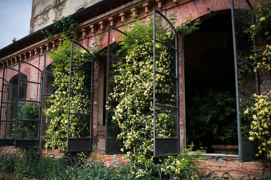 Villa Monaciano — photo 8