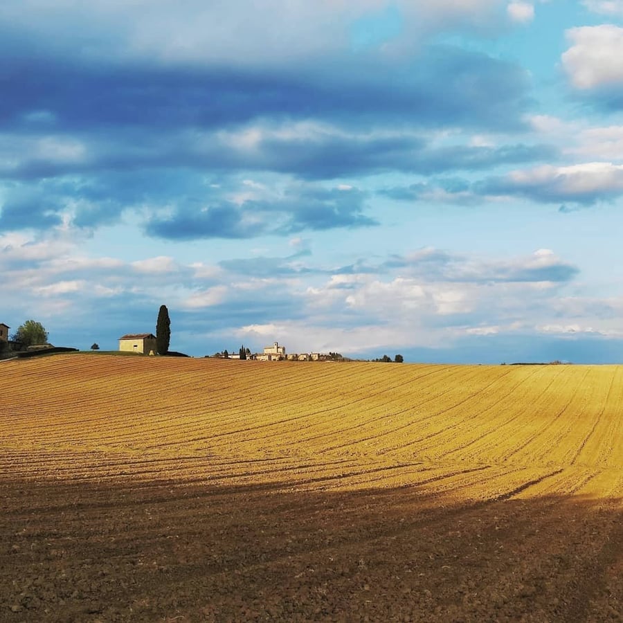 Villa Monaciano — photo 25