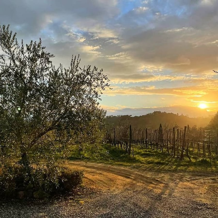 Villa Monaciano — photo 26