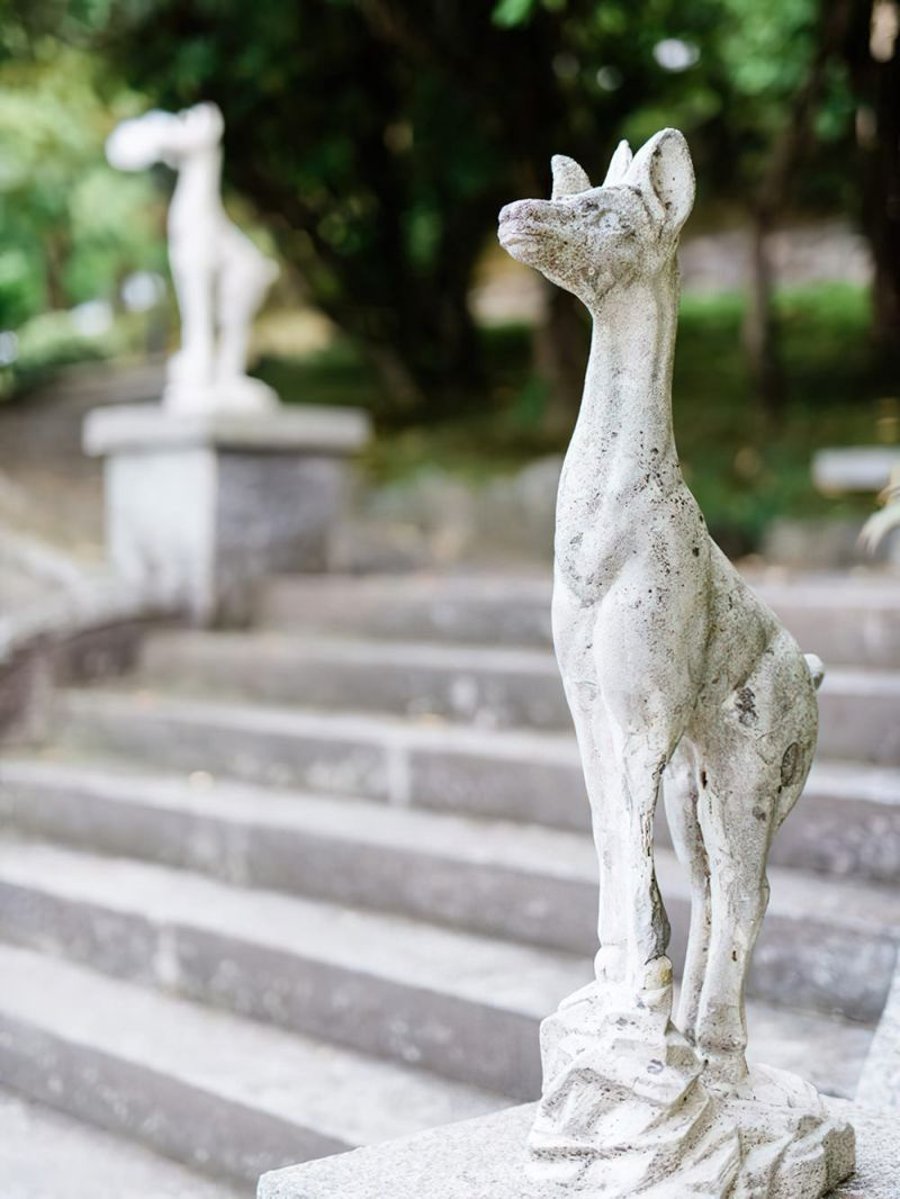 Villa Muggia — photo 8