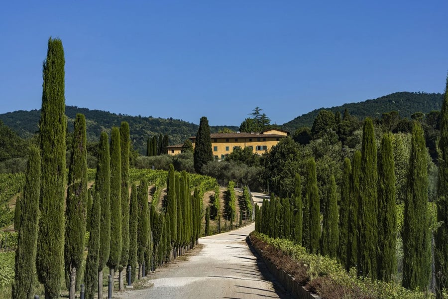 Villa Paolina — photo 4