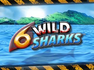 6 Wild Sharks