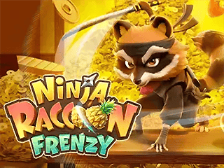 Ninja Raccoon Frenzy 