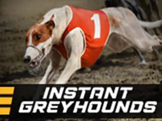 Instant Greyhounds