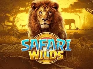 Safari Wilds 