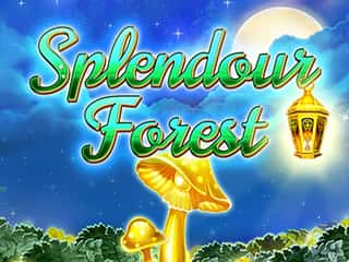 Splendour Forest
