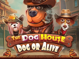 The Dog House – Dog or Alive