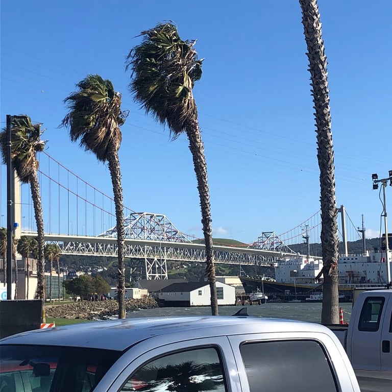 Cal Maritime