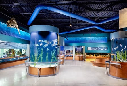 South Florida Science Museum