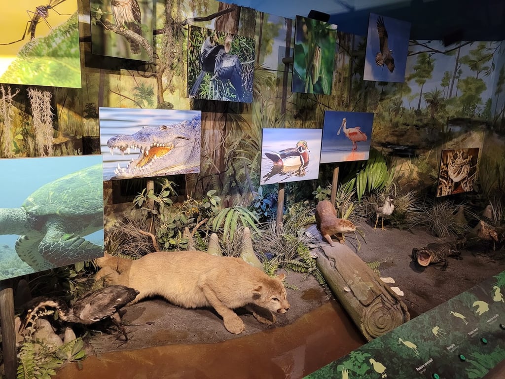 South Florida Science Museum