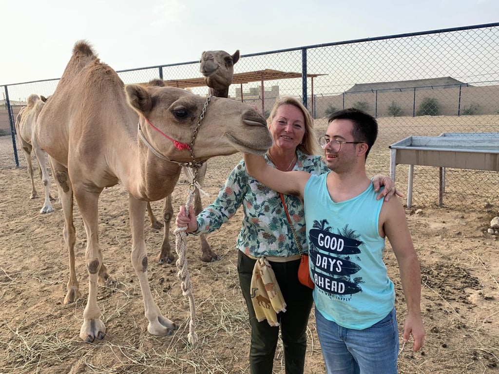The Camel Farm