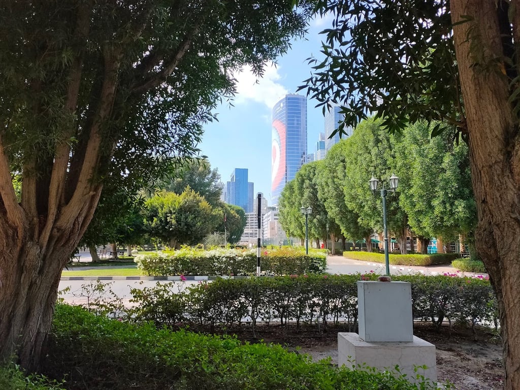 American University in Dubai