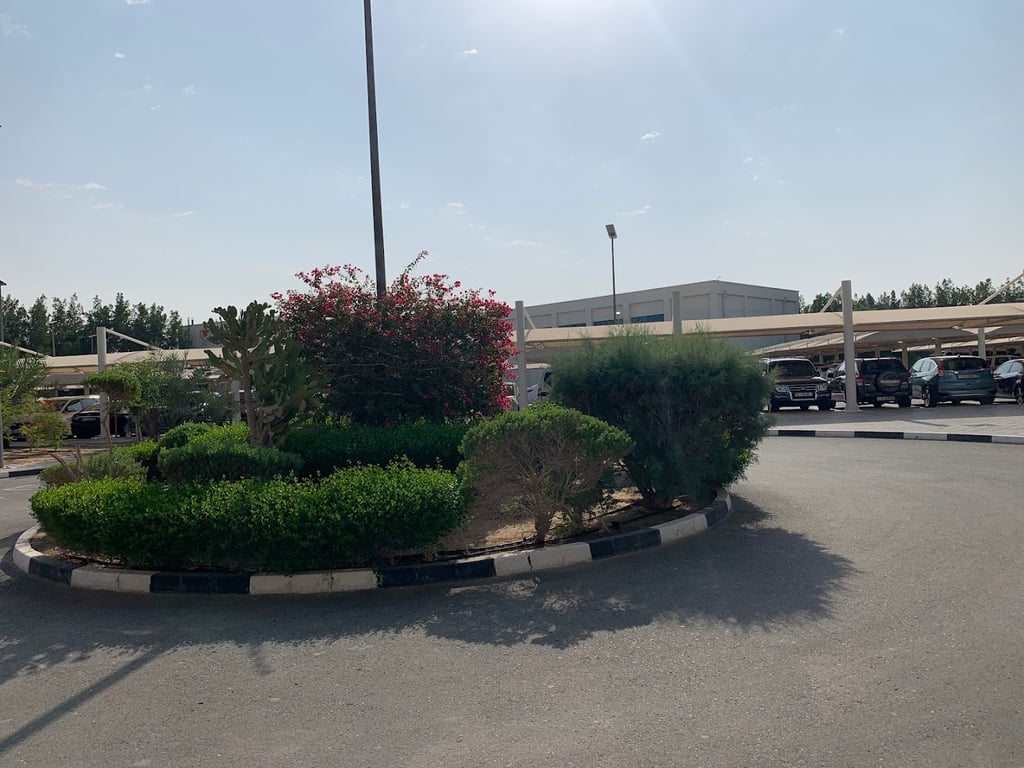 Zayed Sports City