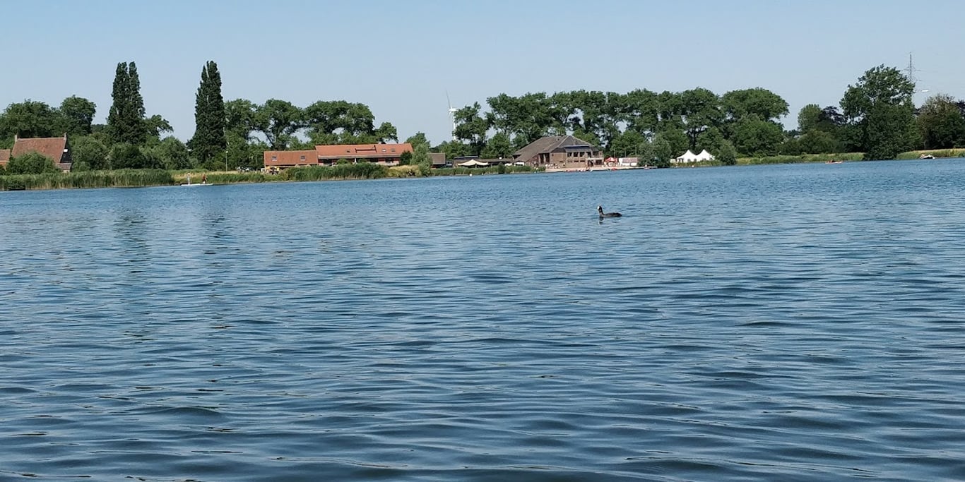 Aan de plas