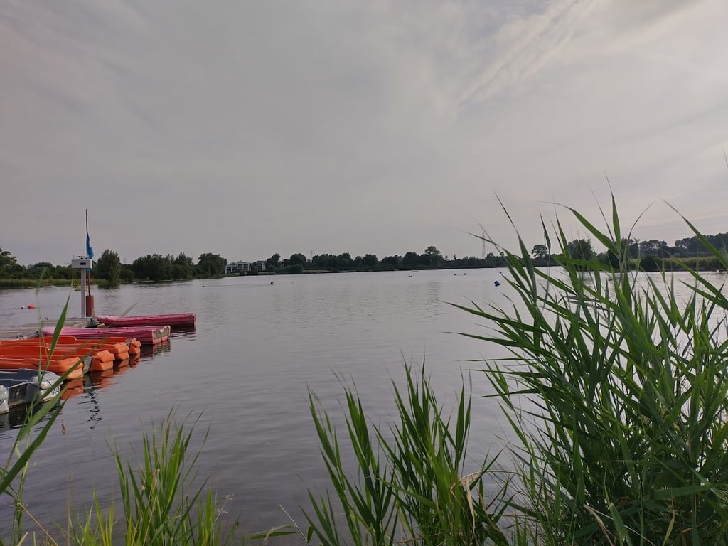 Aan de plas