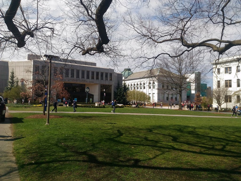 American University