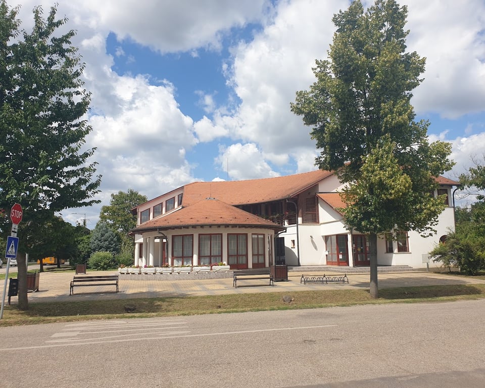 Arany Oroszlán Panzió és Étterem