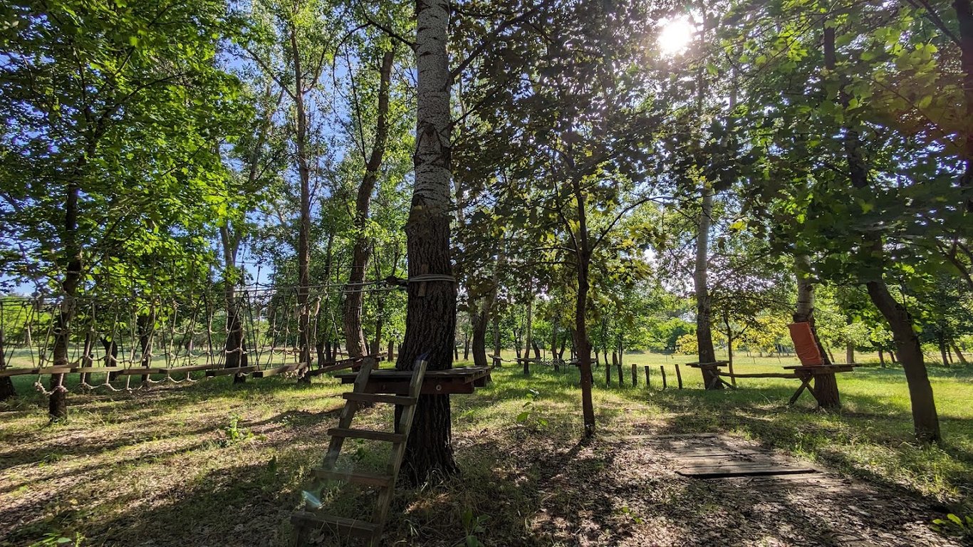 Arpad Vere Riding School and Adventure Park