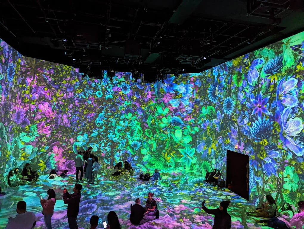 ARTECHOUSE DC