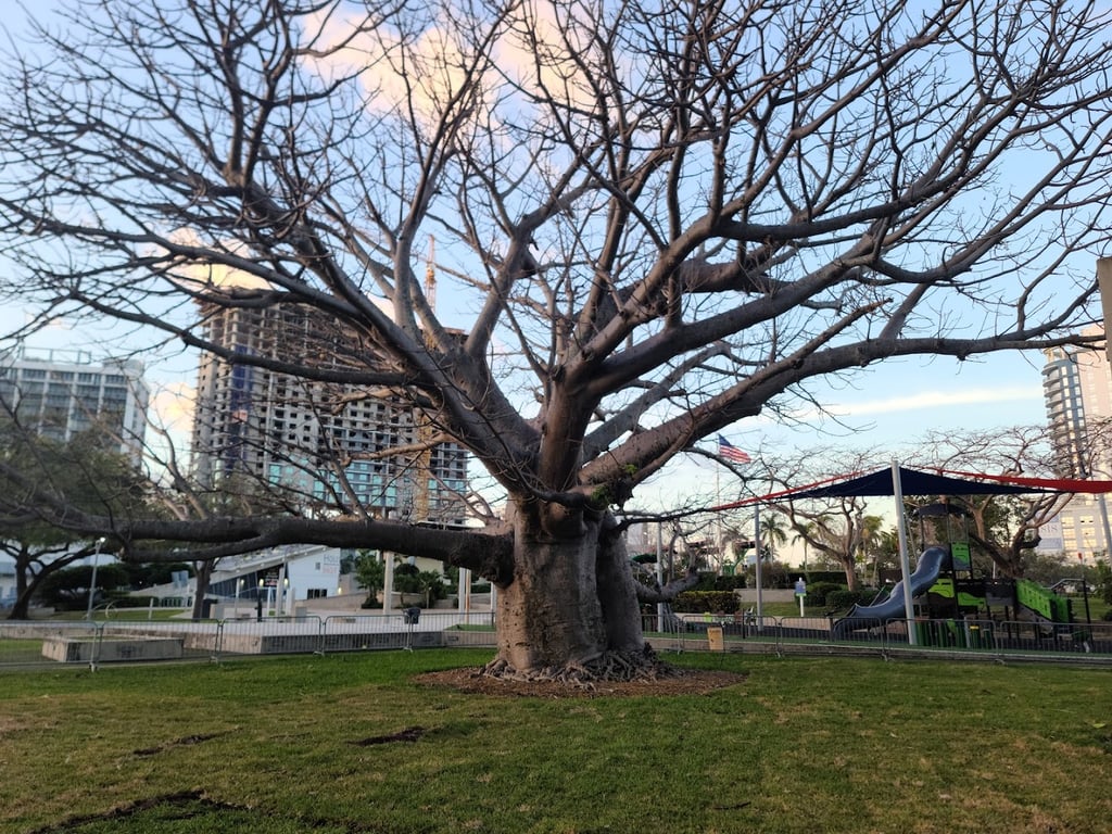 ArtsPark at Young Circle