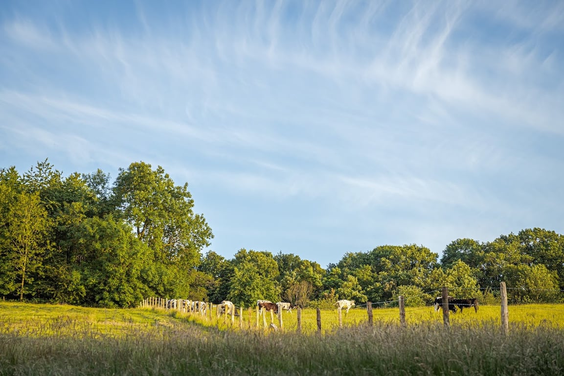 Landgoed Altenbroek