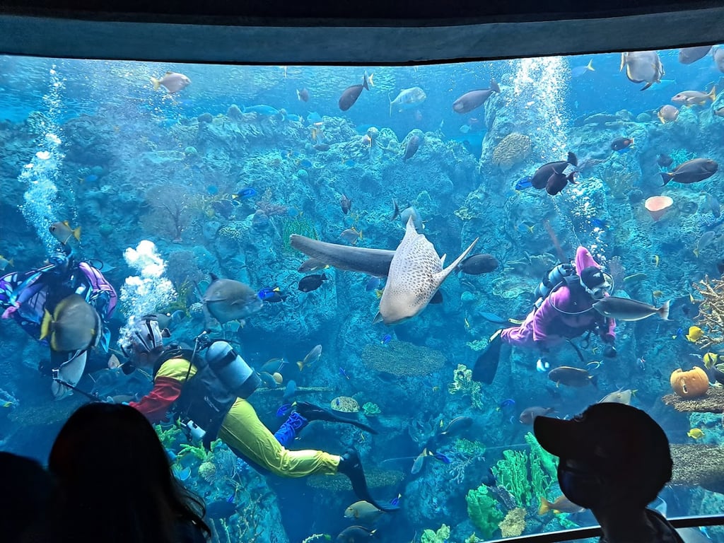 Long Beach Special Events - Aquarium of the Pacific