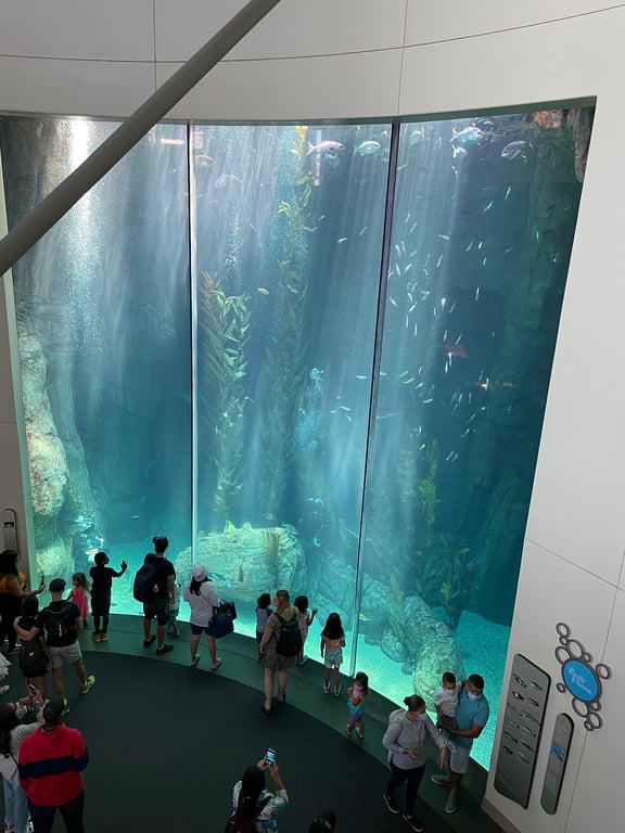 Long Beach Special Events - Aquarium of the Pacific