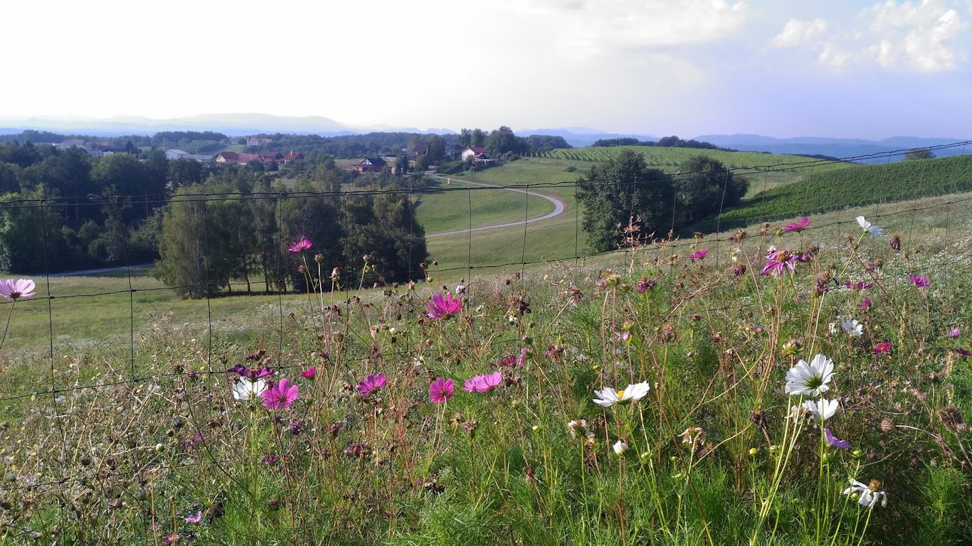 Poročna vila Mestni Vrh | Mestni Vrh Wedding Venue