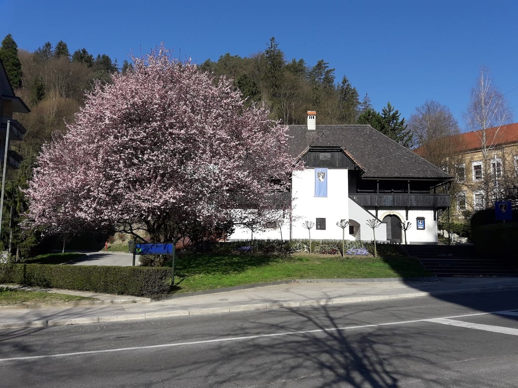 Gradič