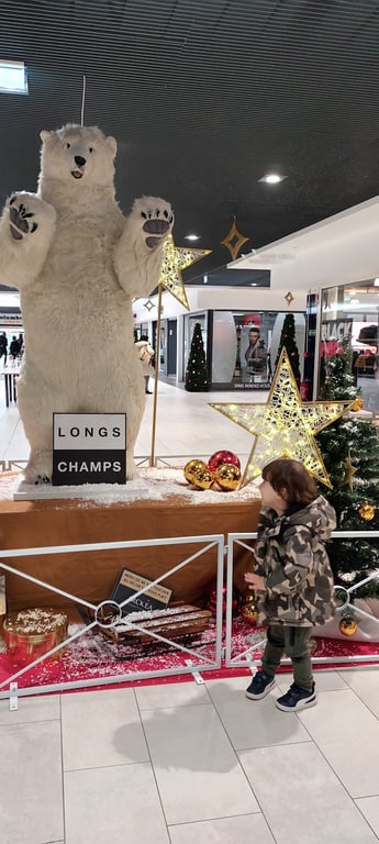 Centre Commercial des Longs Champs