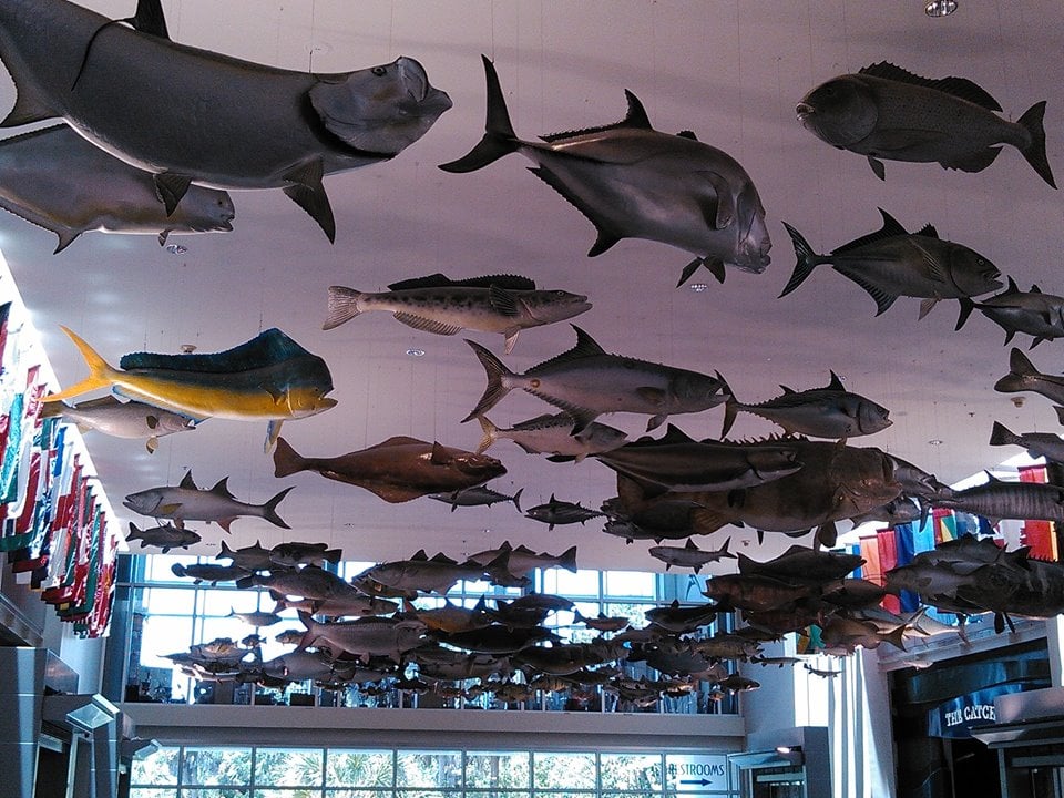 IGFA Fishing Hall of Fame & Museum