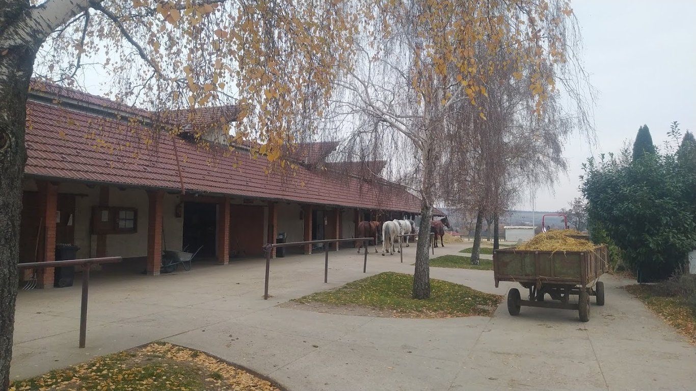Sóskúti Lovas és Élménypark
