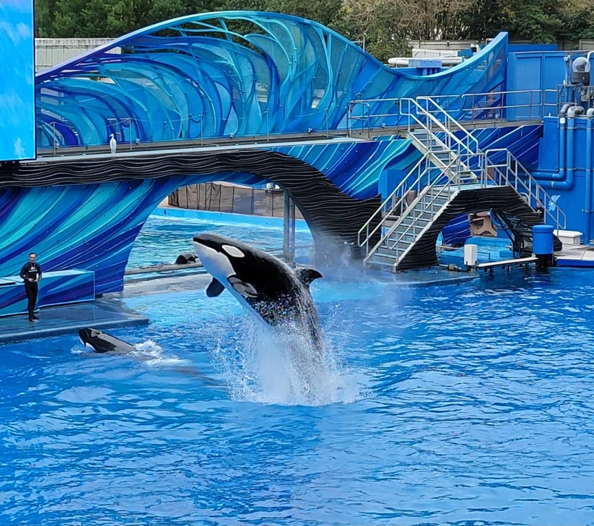 SeaWorld Orlando