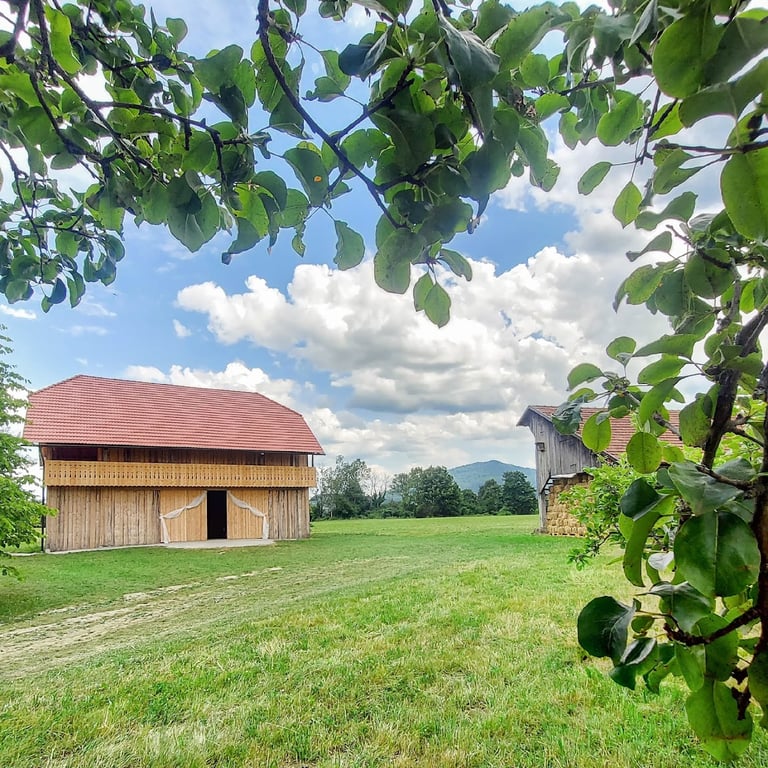 Domačija na Vidmu