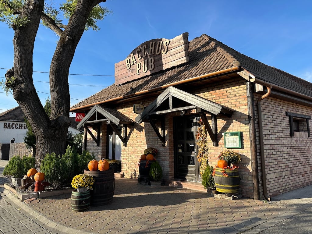 BACCHUS PUB