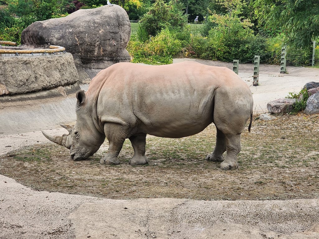 Toronto Zoo