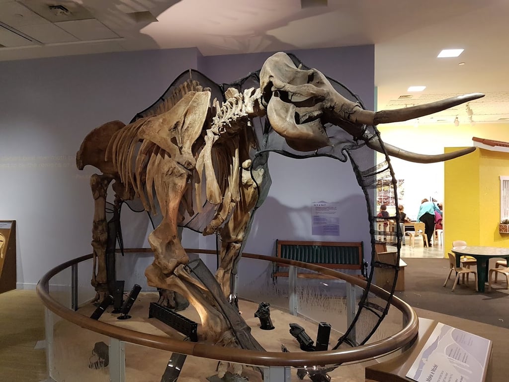 Children's Discovery Museum
